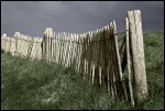 Strandzaun-Frankreich-Barneville-Cateret-Normandie-coloriert
