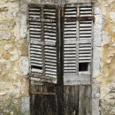 DSCF8582