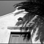 Haus-mit-Palmenschatten
