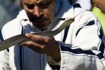 Schlangenmann-Marrakesch_2012