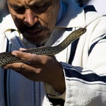 Schlangenmann-Marrakesch_2012