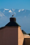 Storchennest-Marrakesch