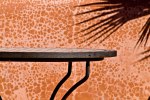 Tisch_mit_Palmenschatten-Marrakech-2012