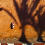 cropped-Palmenschatten-1-DSCF5747