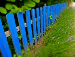 Blauer_Zaun-DSCF4575