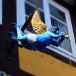 Engel-Blau-Celle-DSCF5097