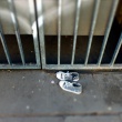 Hamburg-Schanze-Turnschuhe-DSCF5205