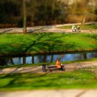 Park-Celle-DSCF5101
