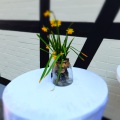 Vase-Tisch-Celle-DSCF5095
