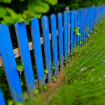 Blauer_Zaun-DSCF4575