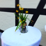 Vase-Tisch-Celle-DSCF5095