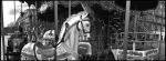 Panorama Noblex 135 S Hasselbladt Flextigth X5 Scan