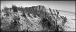 scan_ralf_lesko-006