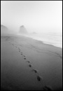 Strand-Santa-Cruz-im-Nebel-Portugal-1987