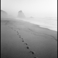 Strand-Santa-Cruz-im-Nebel-Portugal-1987