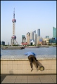 Skyline-Pudong-mit-Mann-ueber-Bruestung-DSCF2839