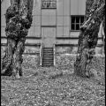 Treppe-mit-Baeumen-Sternwarte_SW-HDR2